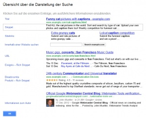 Screenshot Elemente zur Darstellung der Sucheergebnisse in Google