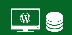 Icon CMS